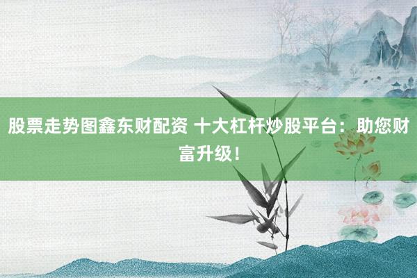 股票走势图鑫东财配资 十大杠杆炒股平台：助您财富升级！