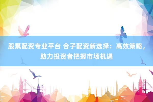 股票配资专业平台 合子配资新选择：高效策略，助力投资者把握市场机遇