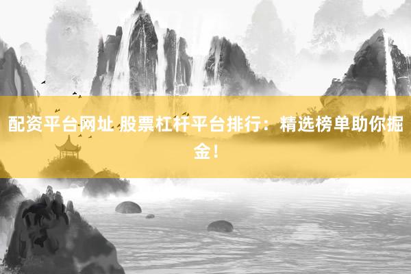 配资平台网址 股票杠杆平台排行：精选榜单助你掘金！