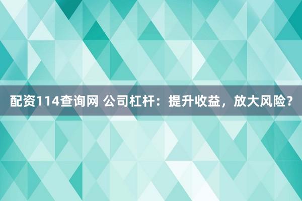 配资114查询网 公司杠杆：提升收益，放大风险？