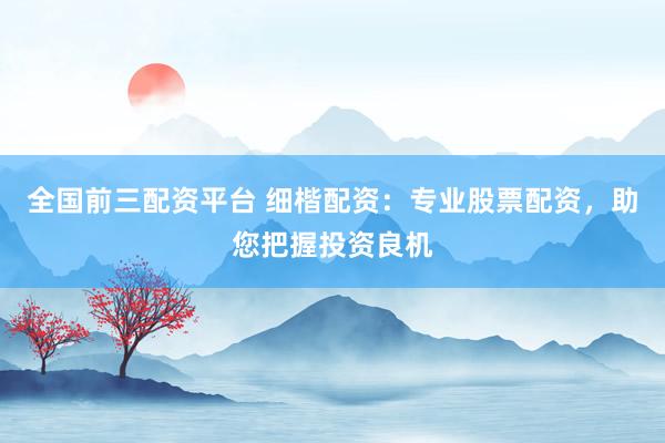 全国前三配资平台 细楷配资：专业股票配资，助您把握投资良机