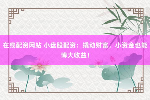 在线配资网站 小盘股配资：撬动财富，小资金也能博大收益！