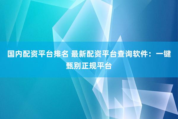 国内配资平台排名 最新配资平台查询软件：一键甄别正规平台