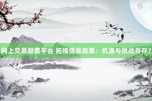 网上交易股票平台 拓维信息股票：机遇与挑战并存？