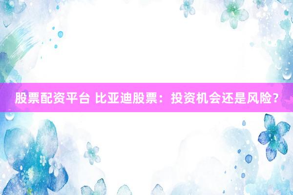 股票配资平台 比亚迪股票：投资机会还是风险？