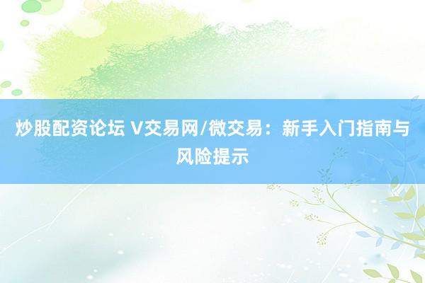 炒股配资论坛 V交易网/微交易:新手入门指南与风险提示