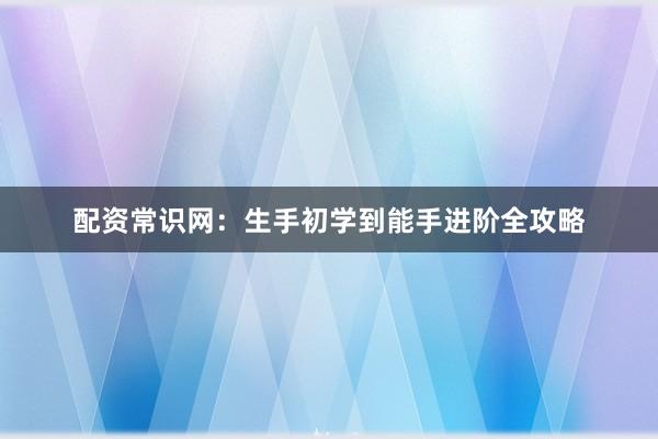 配资常识网：生手初学到能手进阶全攻略