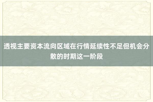 透视主要资本流向区域在行情延续性不足但机会分散的时期这一阶段